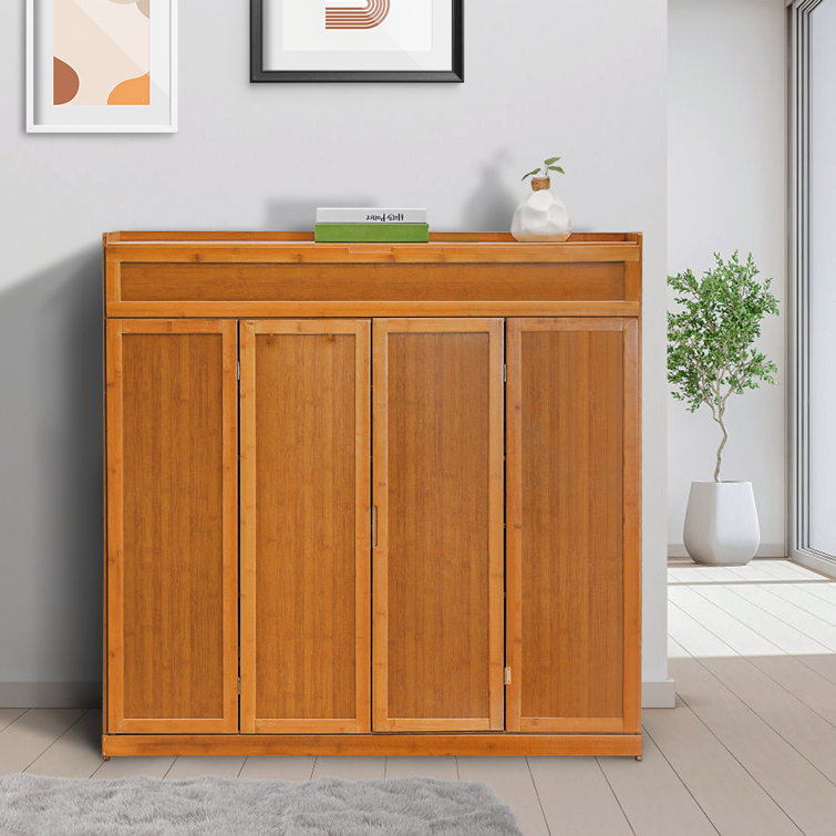 Wayfair shoe cabinet store with doors